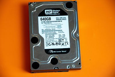 Seagate vs. Western Digital: Which One is The Best AI Storage Play for Dividend Investors?